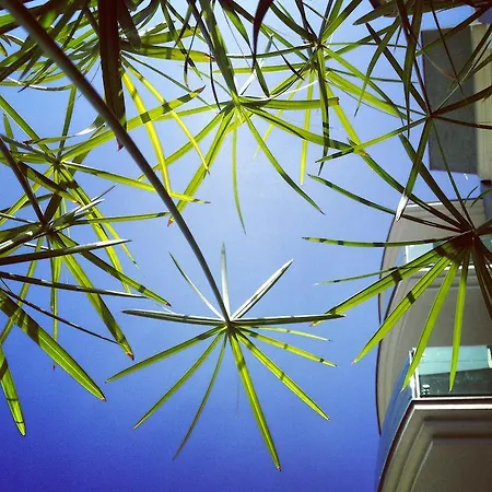 Appartement Residenza Flores